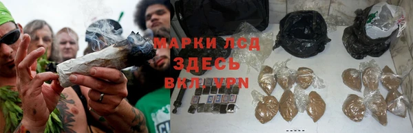 гидра Абинск